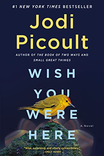 Wish you were here  : a novel