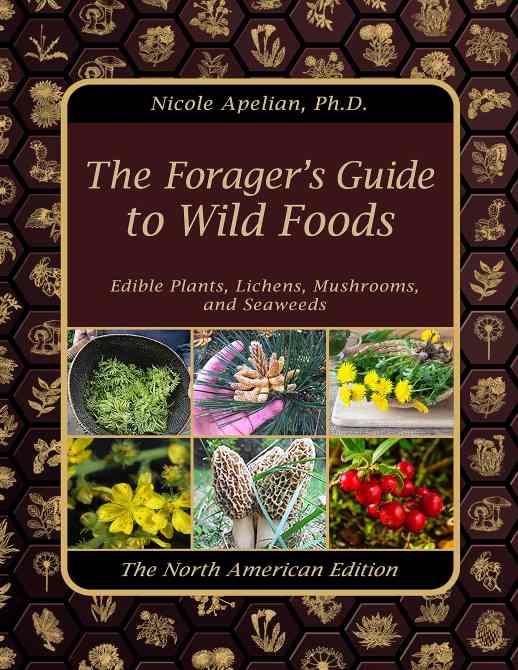 The forager's guide to wild foods : edible plants, lichens, mushrooms and seaweeds