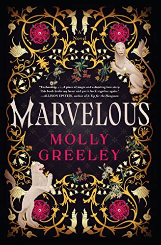 Marvelous  : a novel