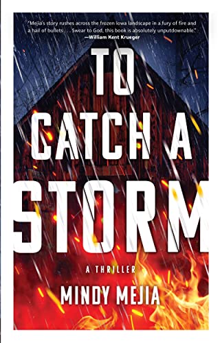 To catch a storm : a novel